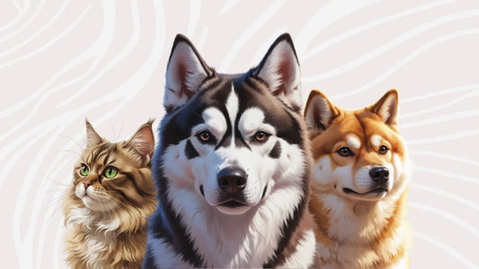 A portrait of a siberian husky, shiba inu, and persian cat