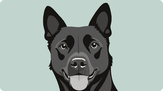 The Secret Power of Pet Illustration